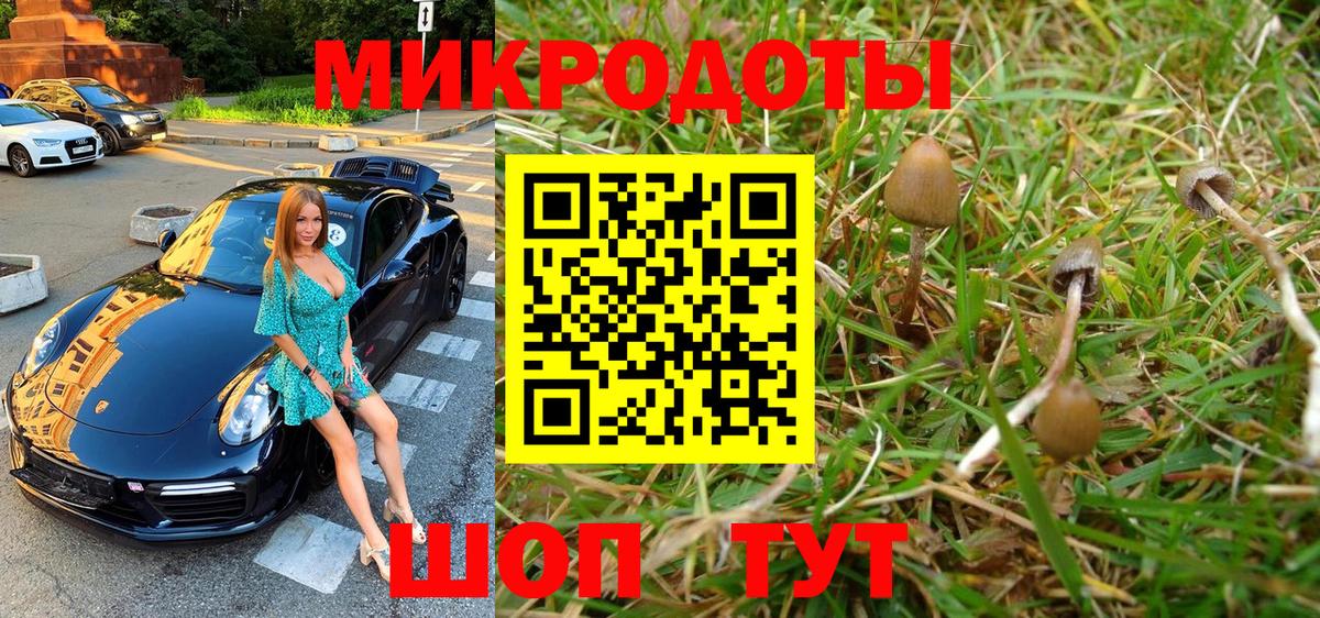 где можно купить   Галлюциногенные грибы мухоморы  Вход с VPN  Киржач 