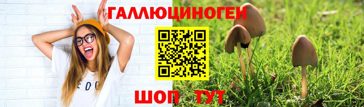 Псилоцибиновые грибы Cubensis Киржач